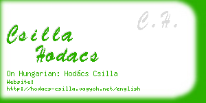 csilla hodacs business card